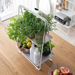 A Collection Shelf Unit