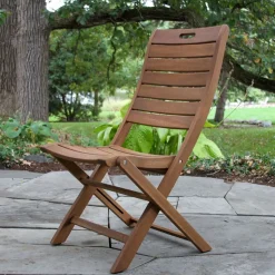 Aldenry Eucalyptus Outdoor Folding Chairs (Set of 2)