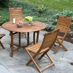 Aldenry Eucalyptus Outdoor Folding Chairs (Set of 2)