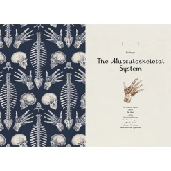 Anatomicum