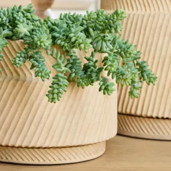 Asher Ceramic Planters