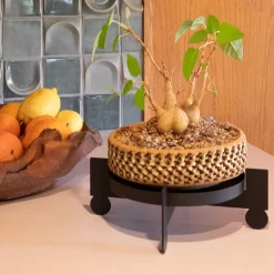 Bal Multipurpose Plant Stand