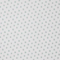 Begonia Wallpaper