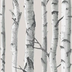Birch Trunks Wallpaper