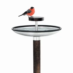Bird Feeder & Bath