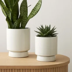 Bishop Ceramic Indoor/Outdoor Tabletop Planters
