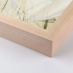 Botanical Shadows Wall Art by Fountain Grass Studios