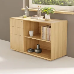 Branch Credenza