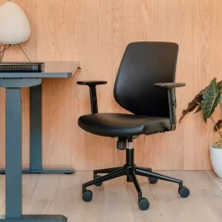 Branch Daily Desk Chair