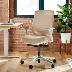 Branch Ergonomic Chair