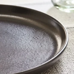 Casafina Pacifica Stoneware Dinner Plates