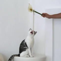 Catenary Flora Cat Teaser Wand Toy