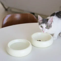 Catenary Halo Pet Bowls