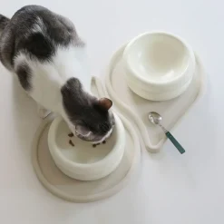 Catenary Halo Pet Bowls