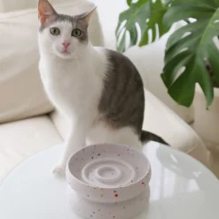Catenary Halo Tempo Pet Bowl