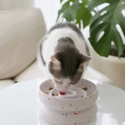 Catenary Halo Tempo Pet Bowl