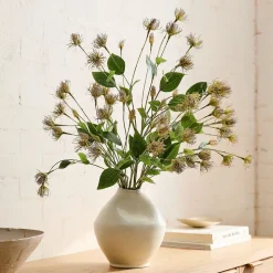 Clematis Pods Bundle