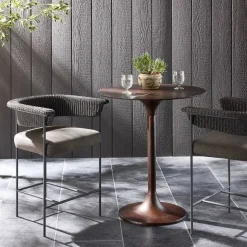 Conover Outdoor Bar & Counter Stools