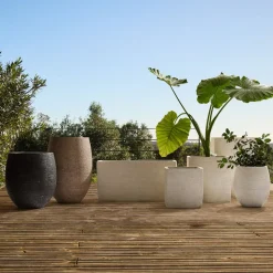 Curved Ficonstone Indoor/Outdoor Planter Collection