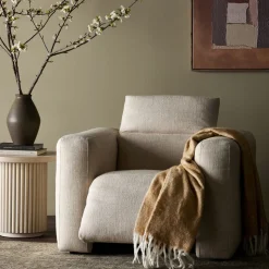 Delevan Power Recliner