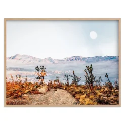 Desert Super Moon Framed Wall Art by Minted for West Elm