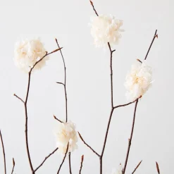 Dried Beech Branch & Hydrangea Stems