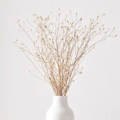 Dried Flax Bunch