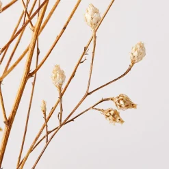 Dried Flax Bunch