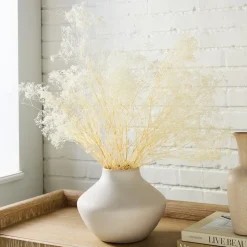 Dried Gypso Bunch
