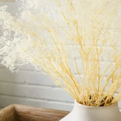 Dried Gypso Bunch