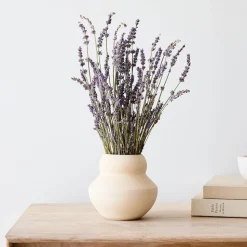 Dried Lavender Stem Bunch