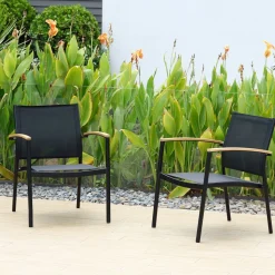 Endric Outdoor Lounge Chairs (Set of 2)