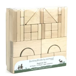 Everwood Friends Building Blocks Beginner Set