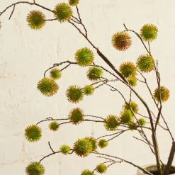 Faux Chestnut Stem