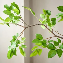 Faux Common Manzanita Bean Leaf Branch