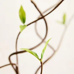 Faux Curvy Willow Branch