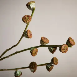 Faux Eucalyptus Pod Branch