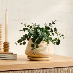 Faux Eucalyptus Potted Plant