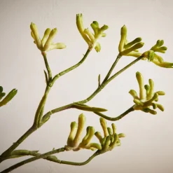 Faux Kangaroo Paw Stem