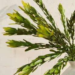 Faux Leucadendron Bundle