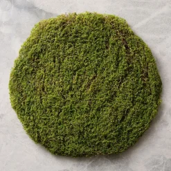 Faux Moss Charger