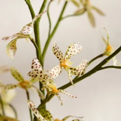 Faux Orchid Leaf