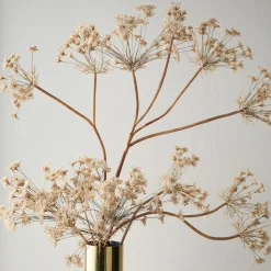Faux Oversized Queen Anne's Lace Branch