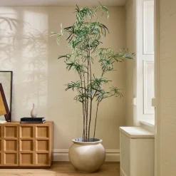 Faux Potted Australian Bottleneck Tree