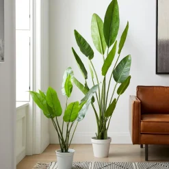 Faux Potted Bird of Paradise Plant