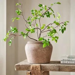 Faux Potted Bursera Plant