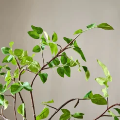 Faux Potted Bursera Plant