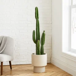 Faux Potted Cactus Plant & Large Bishop Planter Bundle