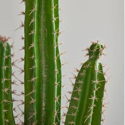 Faux Potted Cactus Plant & Large Bishop Planter Bundle