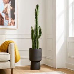 Faux Potted Cactus Plant & Medium Bishop Planter Bundle